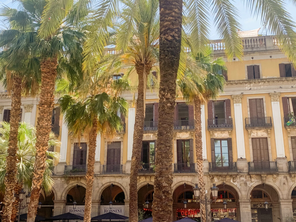 Palm trees in a square in Barcelona Spain with a building in the background.